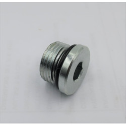 3/4 SORB SOCKET HEAD BLANKING PLUG